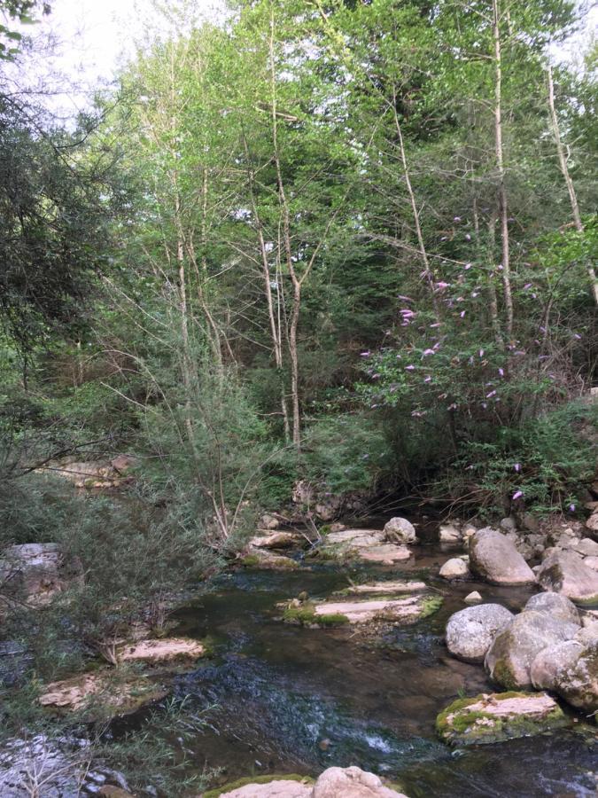 坎普罗东 Mas Molladar Solo Adultos旅馆 外观 照片